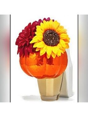 PUMPKIN WITH SUNFLOWER WALLFLOWER PLUG